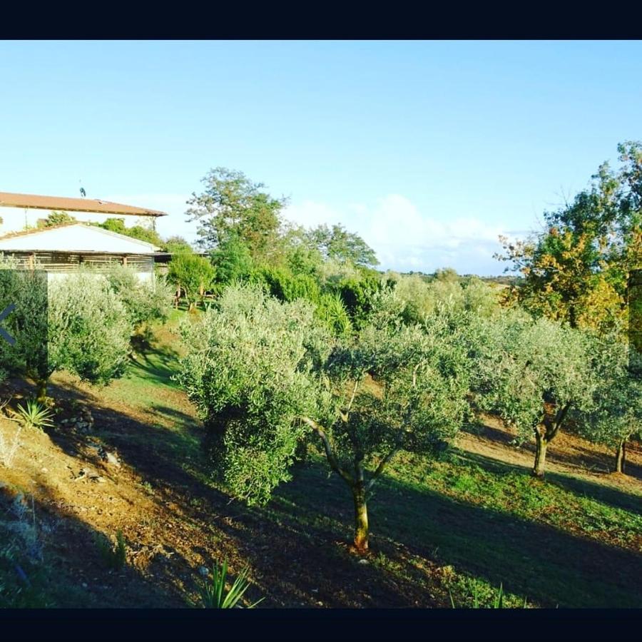 Agriturismo Colleverde Capalbio Exterior foto